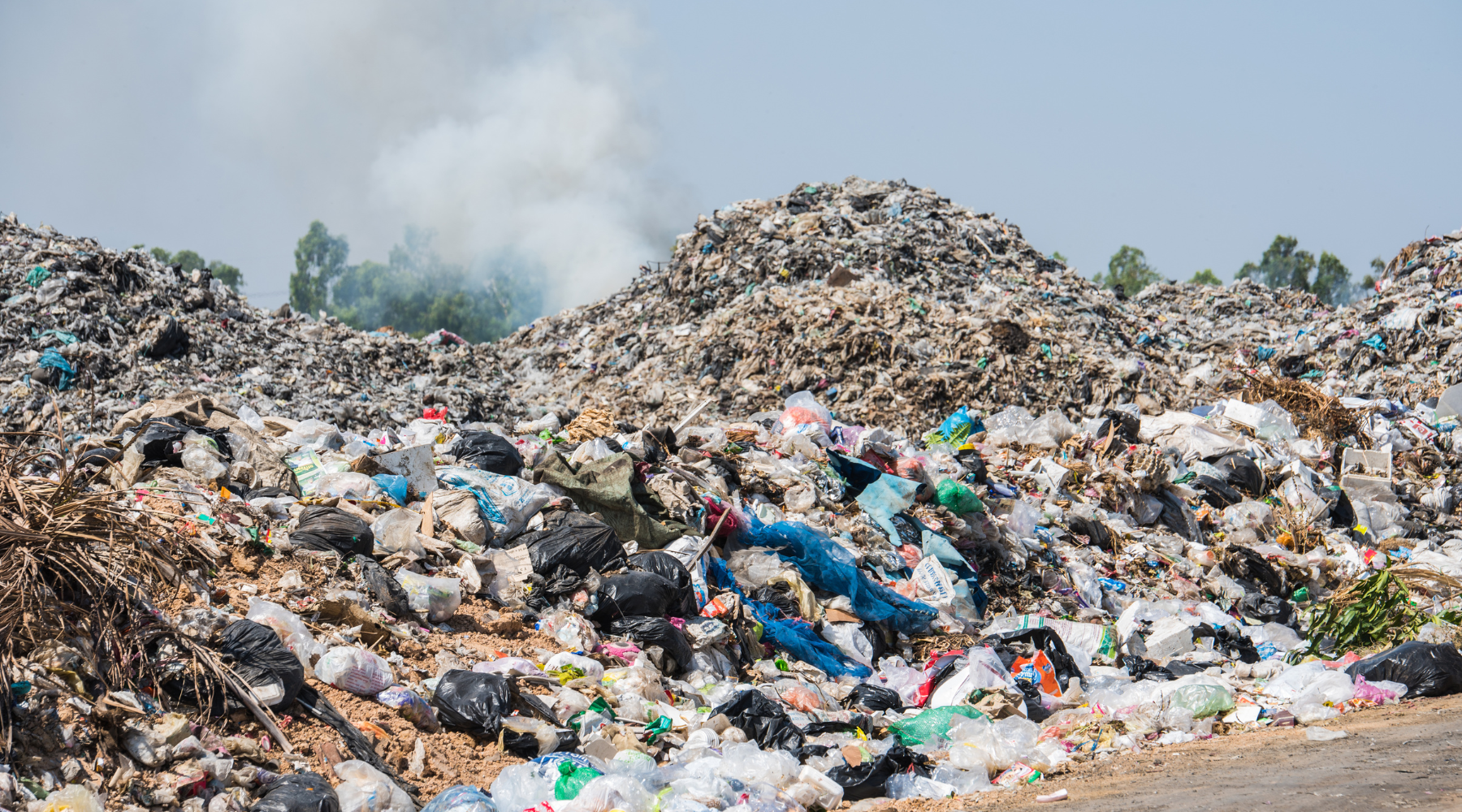 Why Going Plastic Free Is More Than a Trend